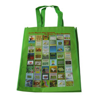 江门LB11覆膜无纺布广告袋